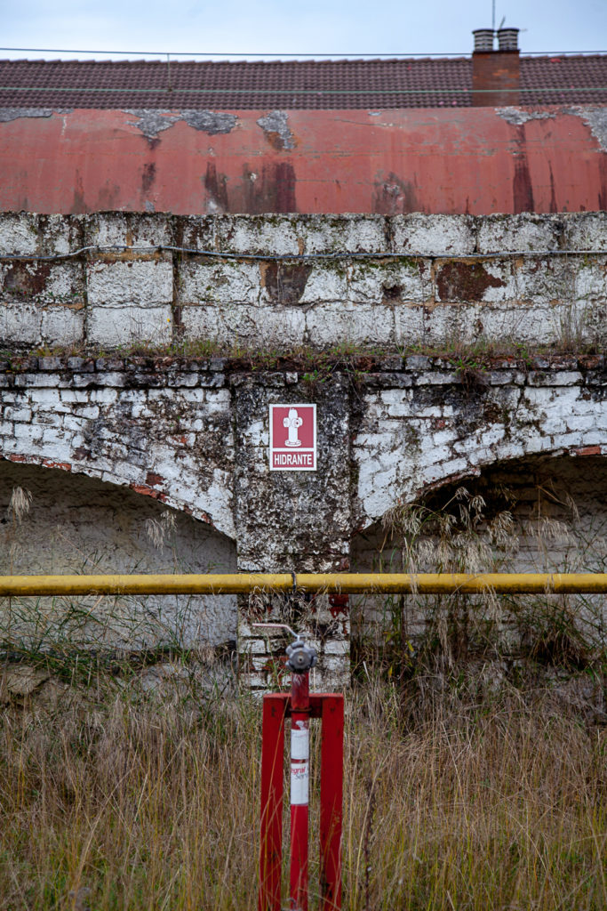 Terrenos de la factoria de los antiguos Talleres de Felguera – Melt. Langreo. Asturias 2019
