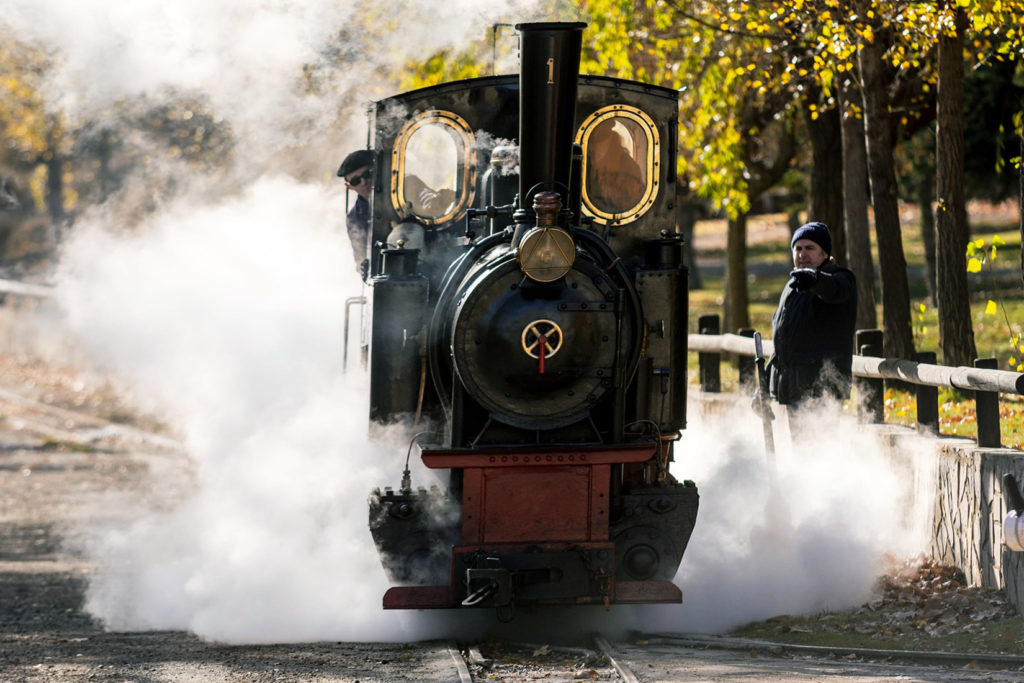 Tren minero del Parque Temático de la Minería y el Ferrocarril de Utrillas. Teruel 2019