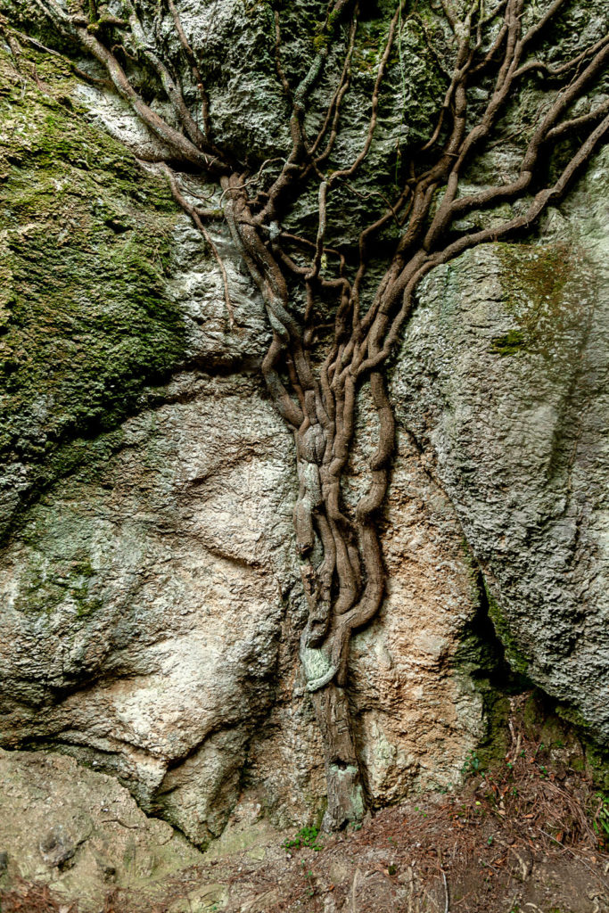 Peñas Negras y el Laberinto del Valle de Trapaga – Trapagaran. Vizcaya 2019