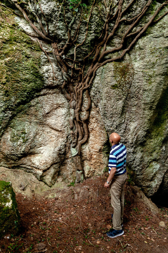 Peñas Negras y el Laberinto del Valle de Trapaga – Trapagaran. Vizcaya 2019