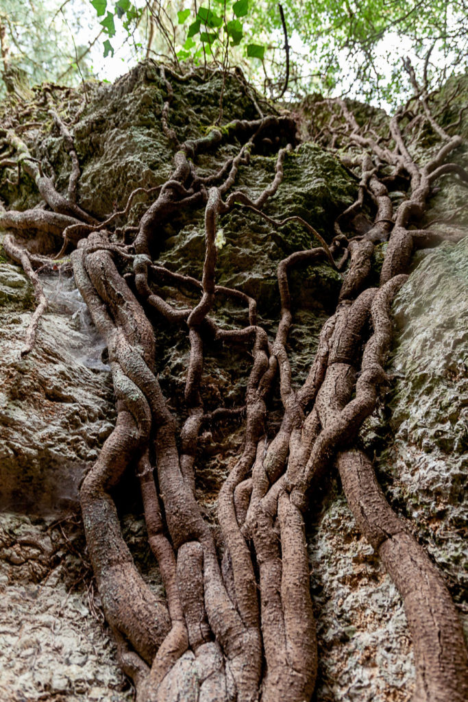 Peñas Negras y el Laberinto del Valle de Trapaga – Trapagaran. Vizcaya 2019