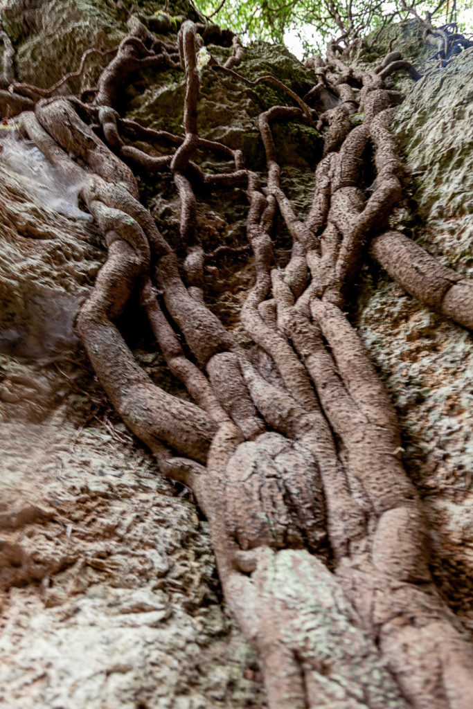 Peñas Negras y el Laberinto del Valle de Trapaga – Trapagaran. Vizcaya 2019
