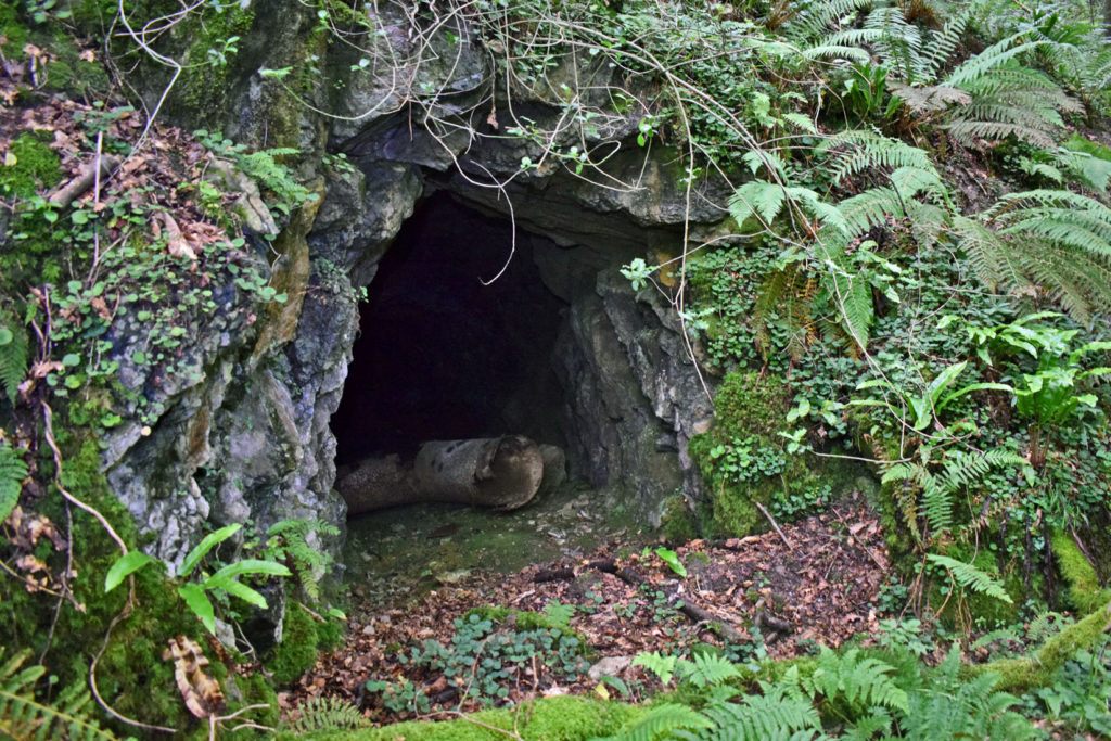 Bocamina de la antigua mina de Mercurio de Brañalamosa. Lena. Asturias 2020