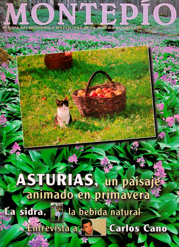 Revista del Montepío y Mutualidad de la Minería Asturiana. Número 17. Año 1997