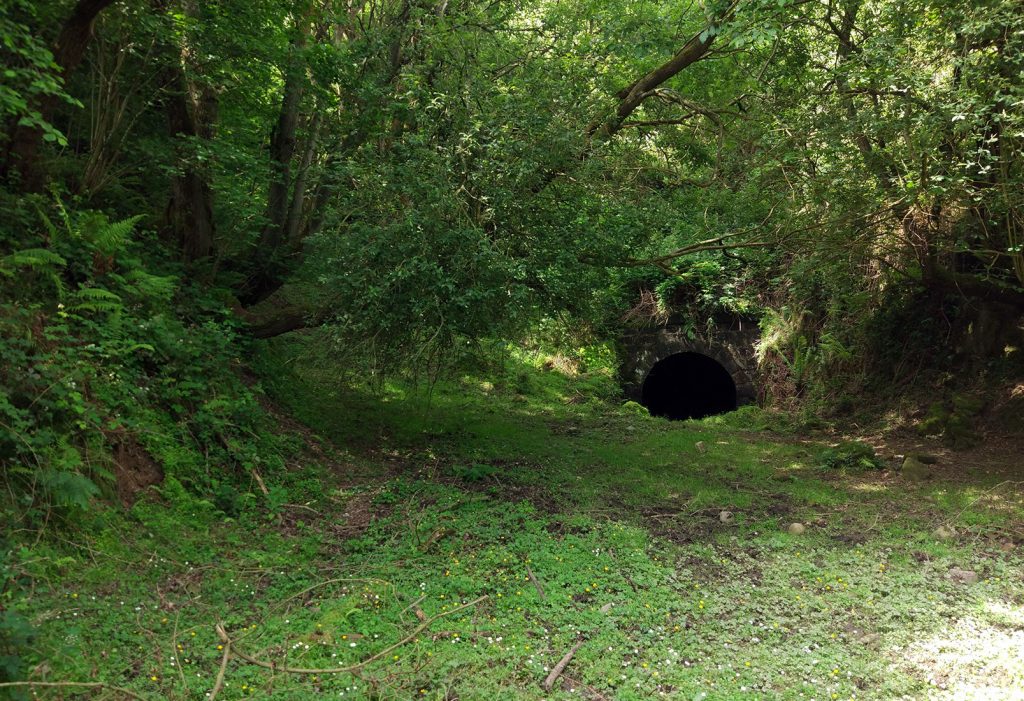 Túnel de La Boqueriza de Hulleras de Riosa. Valle de Lloreo. Mieres. Asturias. 2017