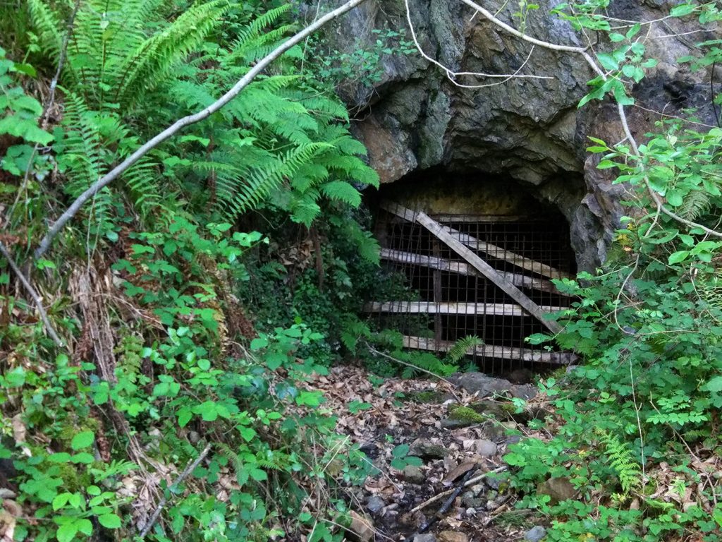 Bocamina del cuarto piso del Grupo Nicolasa. Valle de Ablaña. Mieres. Asturias. 2017