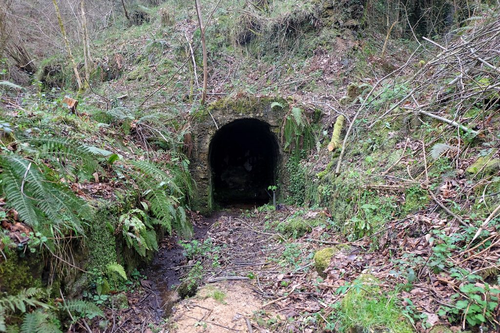 Bocamina de Minas del Rosellón. Coruxona. Siero. Asturias. 2018
