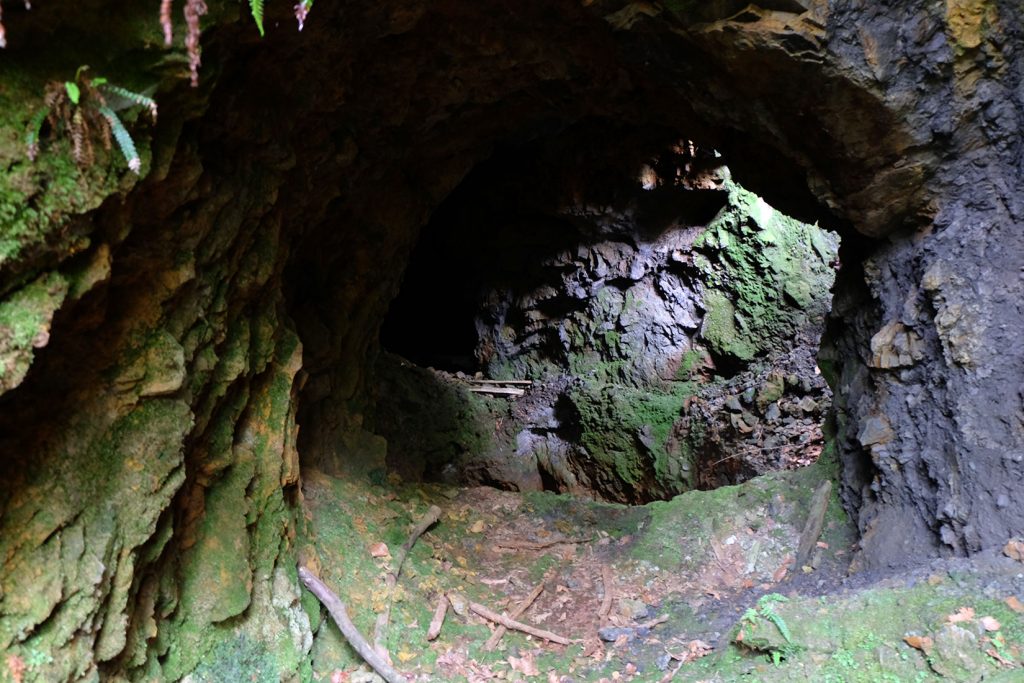 Restos de la Mina Tonín o La Nozal. San Tirso. Mieres. Asturias. 2017