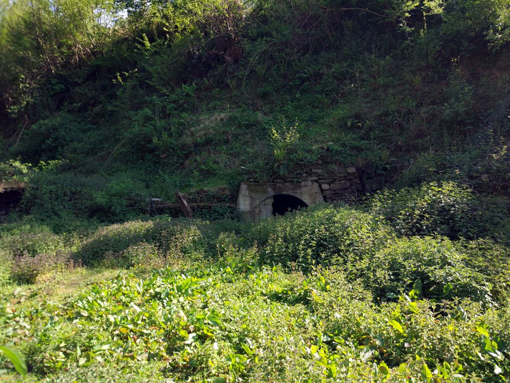 Bocamina del segundo piso del Grupo San Benigno. Valle de Turón. Mieres. Asturias. 2017