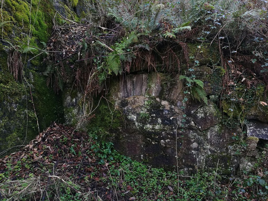 Bocamina del cuarto piso del Grupo San Pedro. Valle de Turón. Mieres. Asturias. 2018