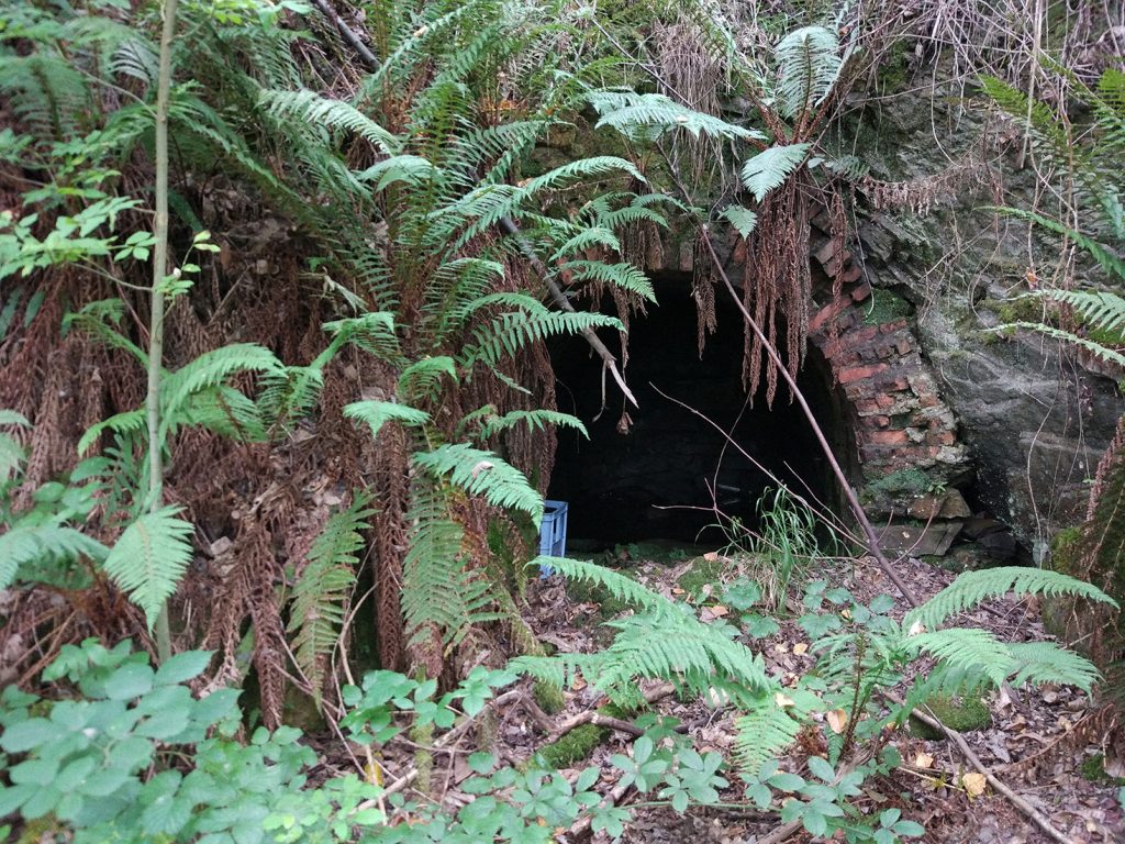Bocamina La Isabela. Güeria San Xuan. Mieres. Asturias. 2016