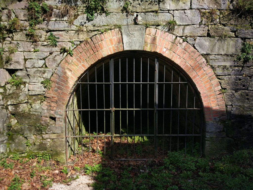 Bocamina L’Artusu. Fortuna. Valle de Turón. Mieres. Asturias. 2017
