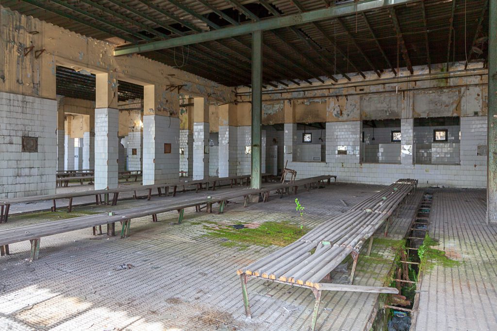 Instalaciones abandonadas del Pozo Pumarabule. Carbayín. Siero 2020.