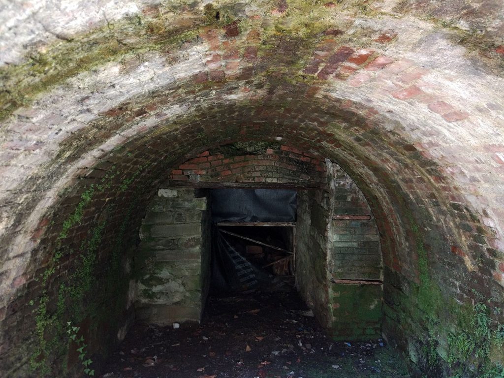 Interior de la Bocamina L’Artusu. Fortuna. Valle de Turón. Mieres. Asturias. 2017