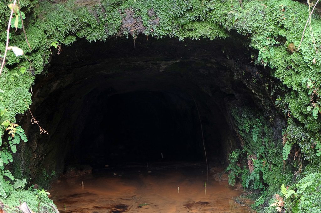 Bocamina de Mina Cimera. Oles. Villaviciosa. Asturias. 2019