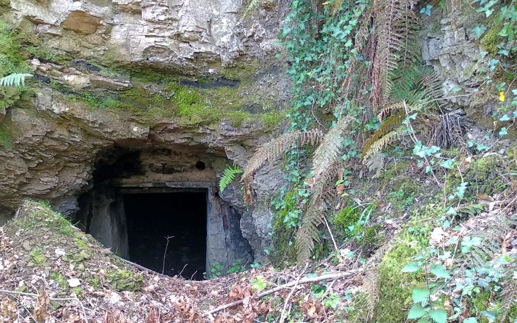 Bocamina del cuarto piso del Grupo San José. Valle de Turón. Mieres. Asturias. 2019