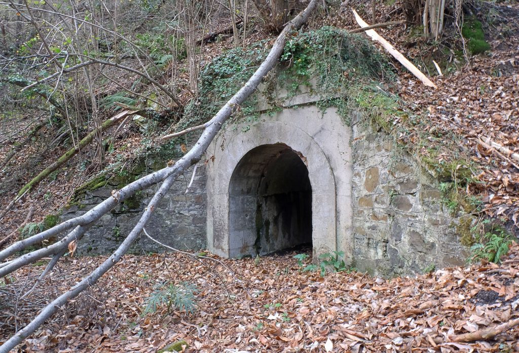 Bocamina del sexto piso del Grupo San Benigno. Valle de Turón. Mieres. Asturias. 2018