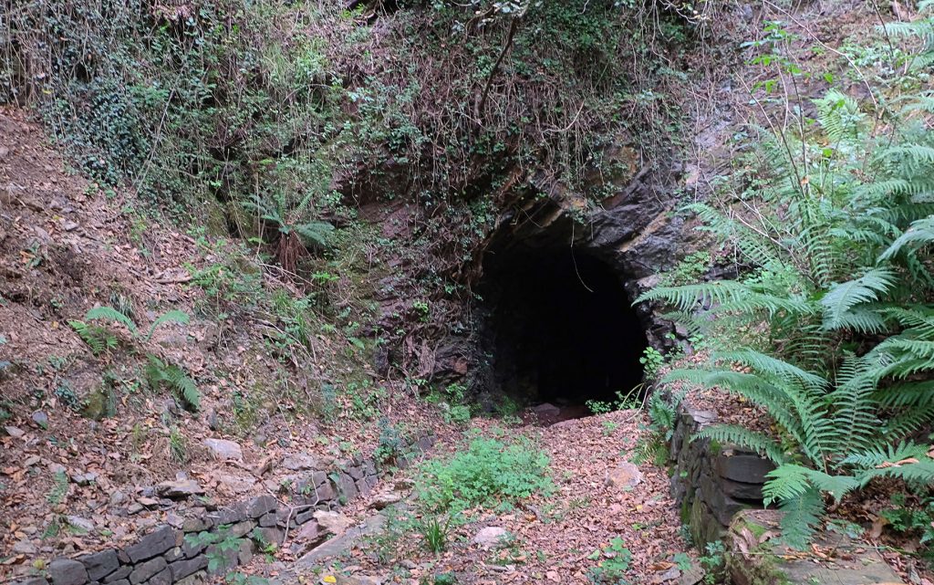 Bocamina de Minas de La Parva. Castañedo del Monte. Santo Adriano. Asturias. 2018
