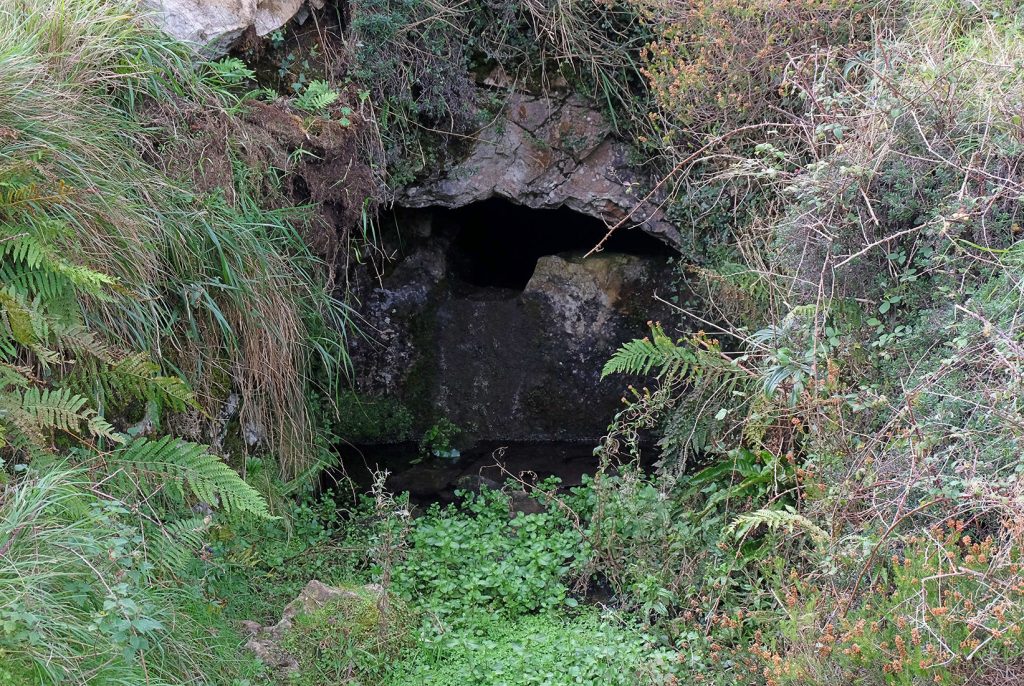 Bocamina de Minas El Pilar. Alevia. Peñamellera Baja. Asturias. 2019