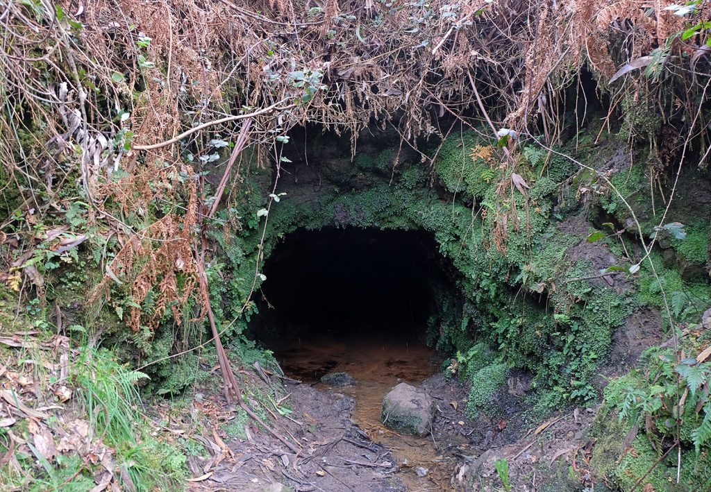 Bocamina de Mina Cimera. Oles. Villaviciosa. Asturias. 2019