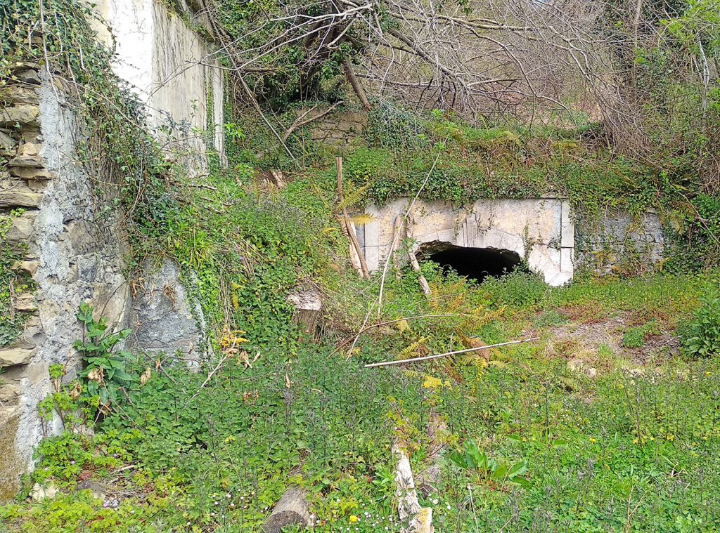 Bocamina del cuarto piso de la Mina Clavelina o La Llama. Valle de Turón. Mieres. Asturias. 2019