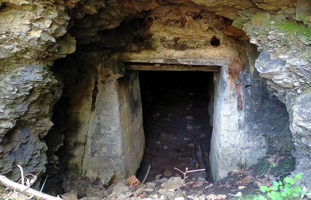 Bocamina del cuarto piso del Grupo San José. Valle de Turón. Mieres. Asturias. 2019