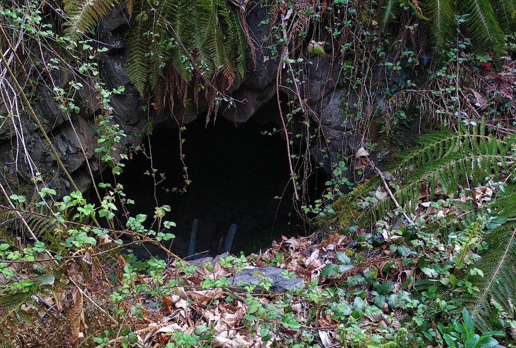 Bocamina del primer piso de la Mina Corujas. Mieres. Asturias. 2019