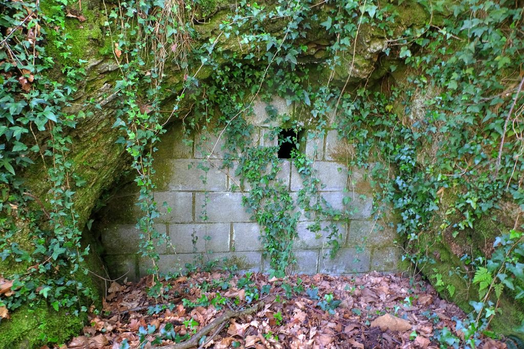 Bocamina del quinto piso de Mina Llory. Valle de Turón. Mieres. Asturias. 2019