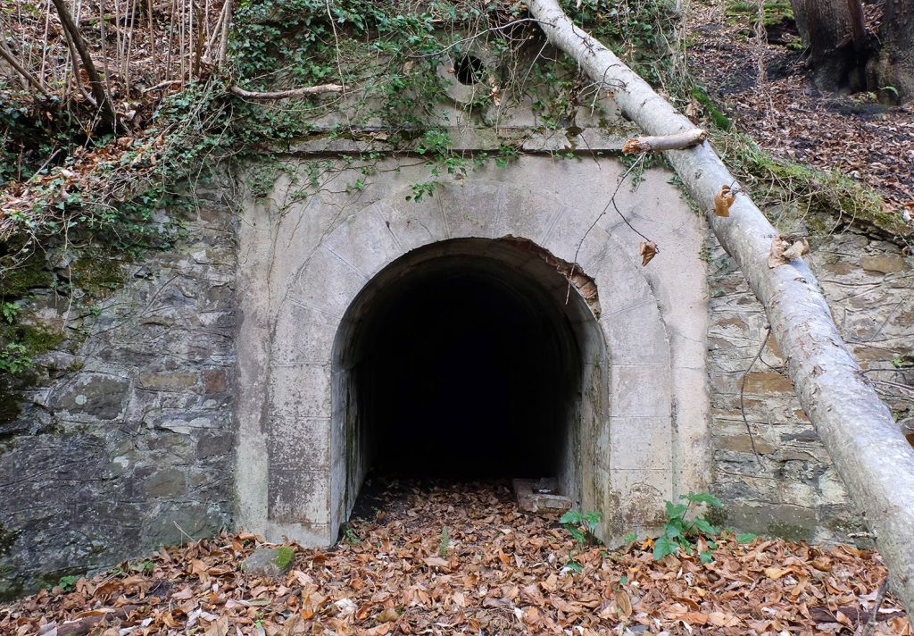 Bocamina del sexto piso del Grupo San Benigno. Valle de Turón. Mieres. Asturias. 2018