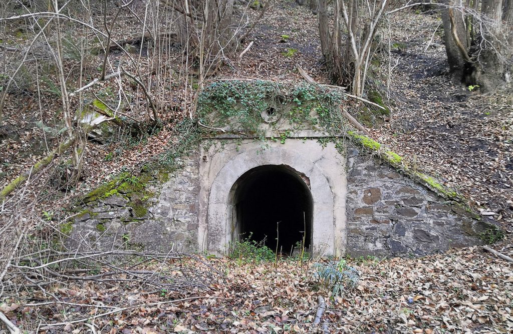 Bocamina del sexto piso del Grupo San Benigno. Valle de Turón. Mieres. Asturias. 2019