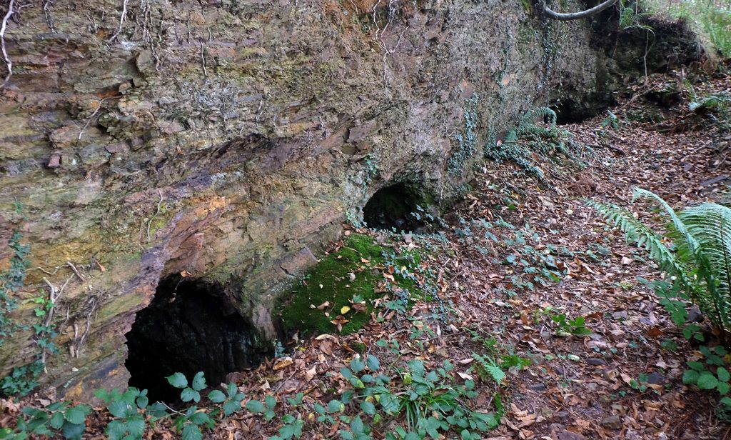 Chimeneas de Minas de La Parva. Castañedo del Monte. Santo Adriano. Asturias. 2018
