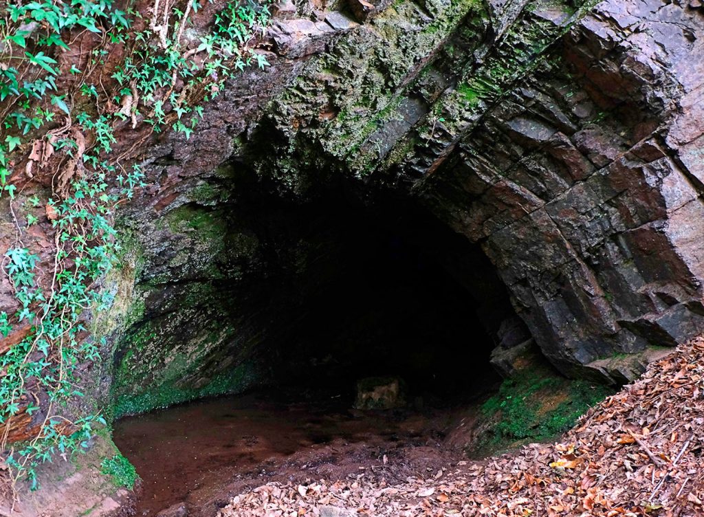 Bocamina de Minas de La Parva. Castañedo del Monte. Santo Adriano. Asturias. 2018