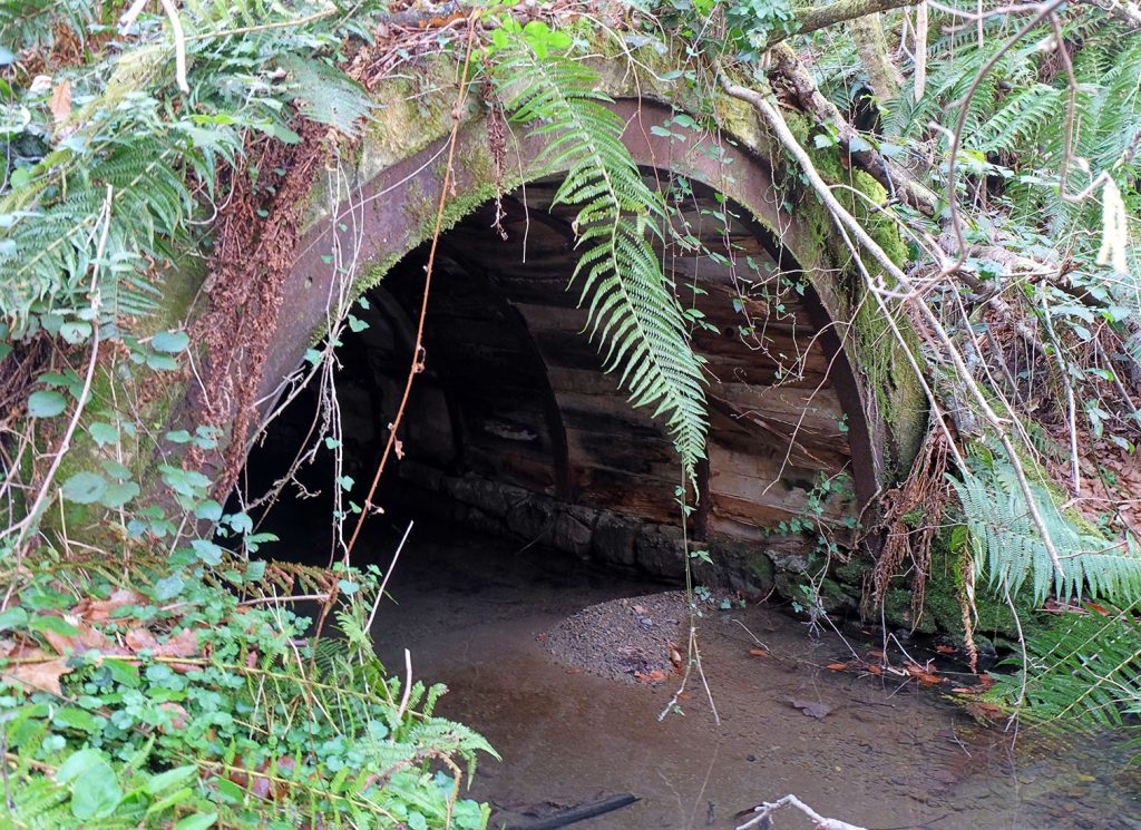 Bocamina del cuarto piso de las Minas de Urbiés. Valle de Turón. Mieres. Asturias. 2020
