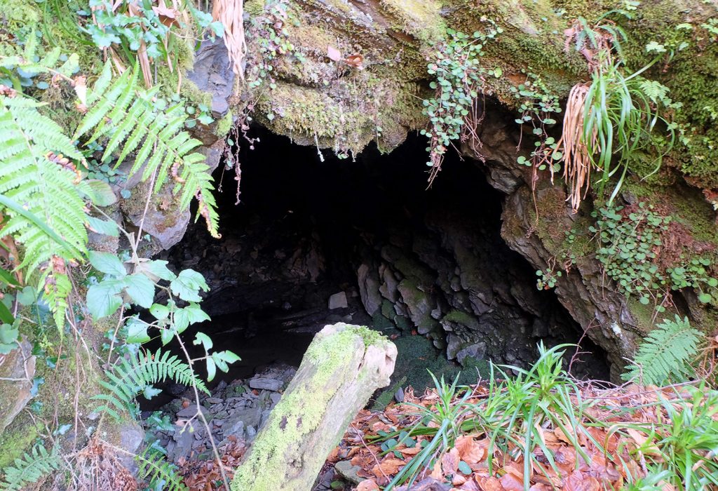 Bocamina del quinto piso de las Minas de Urbiés. Valle de Turón. Mieres. Asturias. 2020