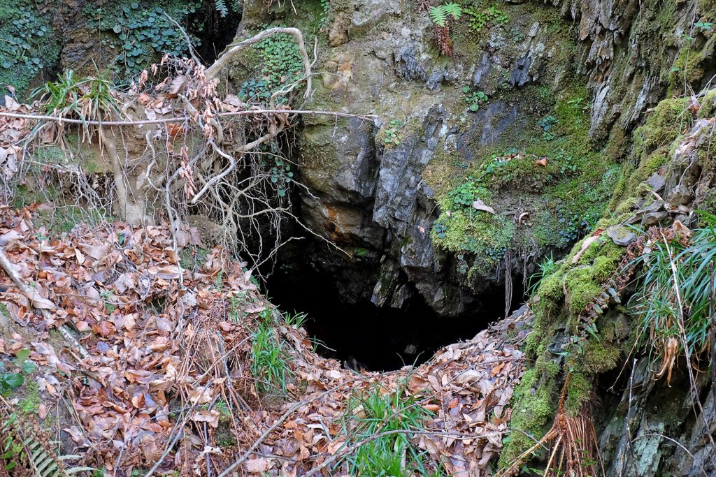 Bocamina del tercer piso de las Minas de Urbiés. Valle de Turón. Mieres. Asturias. 2020