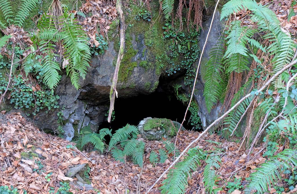 Bocamina del cuarto piso de las Minas de Urbiés. Valle de Turón. Mieres. Asturias. 2020