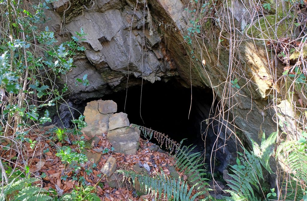 Bocamina del sexto piso de las Minas de Urbiés. Valle de Turón. Mieres. Asturias. 2020