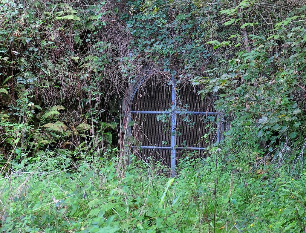 Bocamina de Mina La Luarquesa. Navelgas. Asturias. 2020