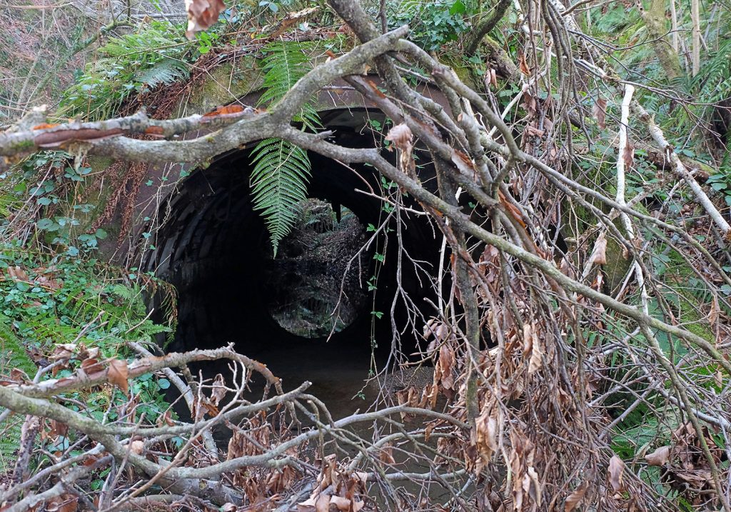 Bocamina del cuarto piso de las Minas de Urbiés. Valle de Turón. Mieres. Asturias. 2020