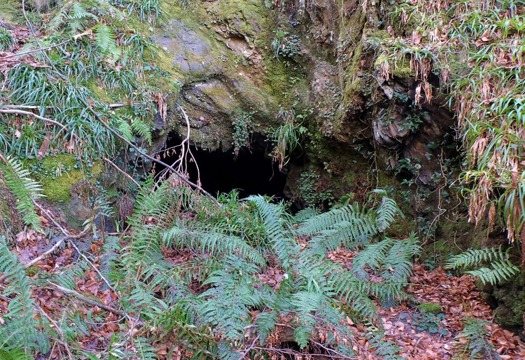 Bocamina del quinto piso de las Minas de Urbiés. Valle de Turón. Mieres. Asturias. 2020