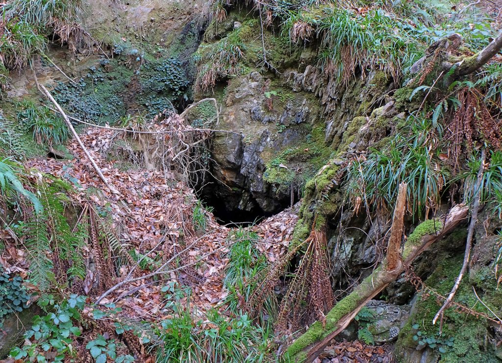 Bocamina del tercer piso de las Minas de Urbiés. Valle de Turón. Mieres. Asturias. 2020