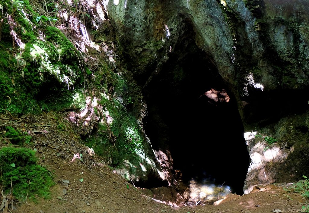 Bocamina Entrepeñas. Navelgas. Asturias. 2020