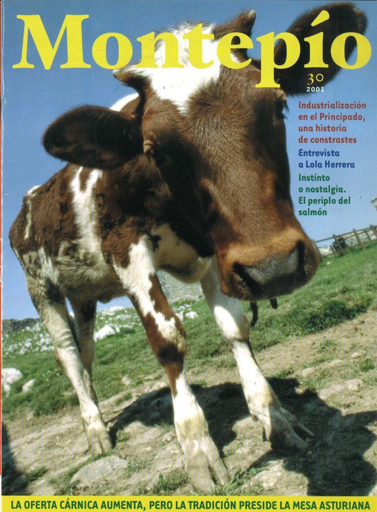 Revista del Montepío y Mutualidad de la Minería Asturiana. Número 30. Año 2001