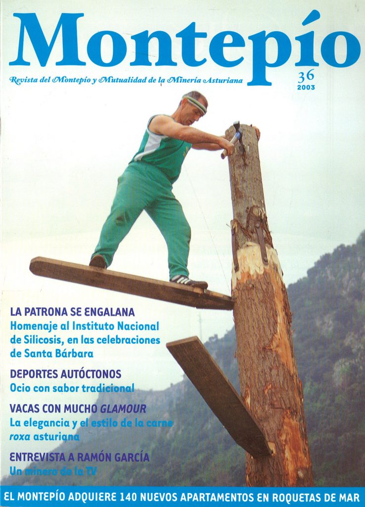 Revista del Montepio y Mutualidad de la minería Asturiana. Numero 36. Enero 2003