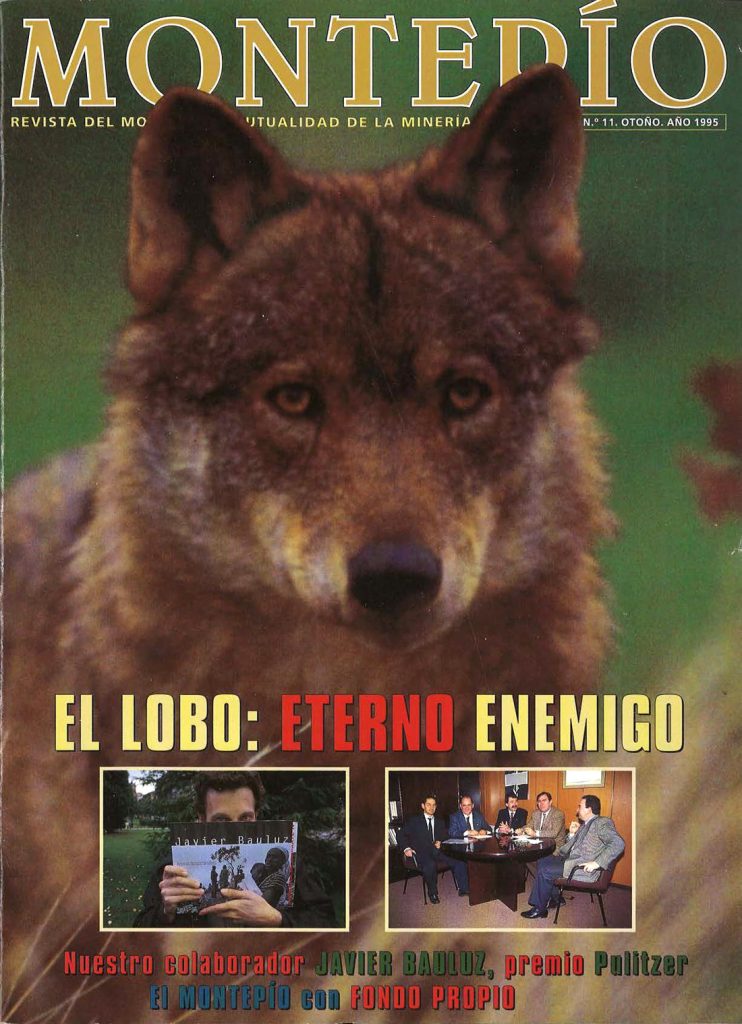 Revista del Montepío y Mutualidad de la Minería Asturiana. Número 11. Año 1995