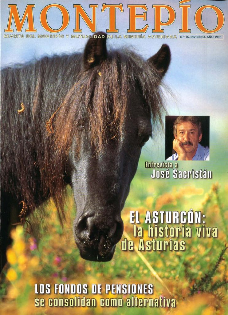 Revista del Montepío y Mutualidad de la Minería Asturiana. Número 16. Año 1996