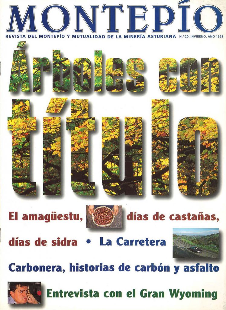 Revista del Montepío y Mutualidad de la Minería Asturiana. Número 20. Año 1998
