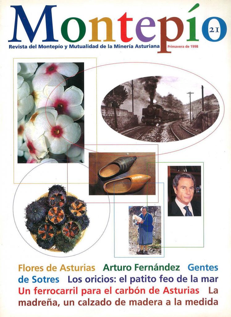 Revista del Montepío y Mutualidad de la Minería Asturiana. Número 21. Año 1998