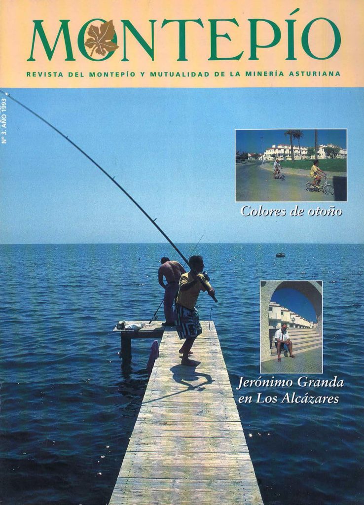 Revista del Montepío y Mutualidad de la Minería Asturiana. Número 3. Año 1993