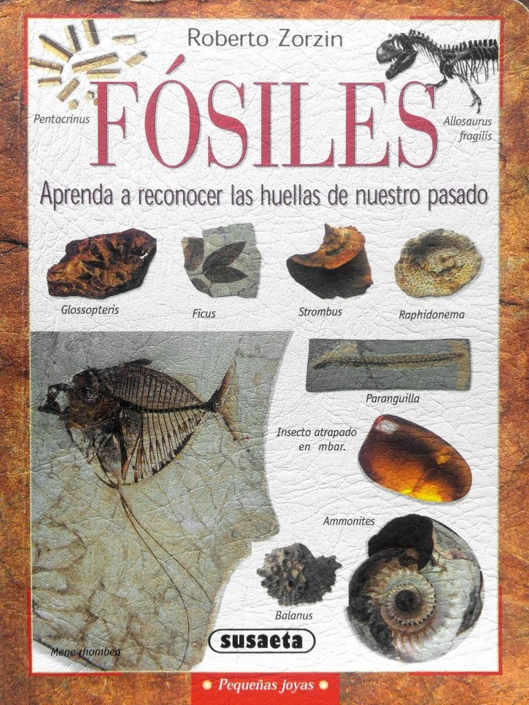 Portada del libro “Fósiles, aprenda a reconocer las huellas de nuestro pasado”, de Roberto Zorzin. Madrid. 2002